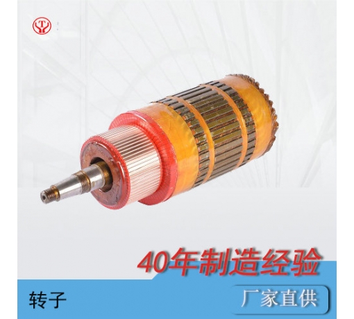 ZQ-1.9輔助直流牽引電機(jī)電樞（250V，550V）